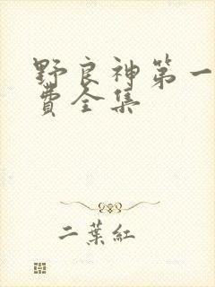 野良神第一季免费全集