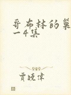 哥布林的巢穴1一4集