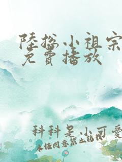 陆总小祖宗短剧免费播放