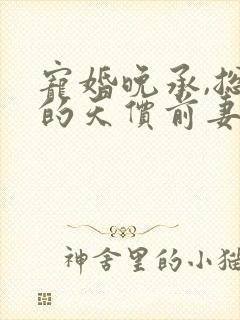 宠婚晚承,总裁的天价前妻