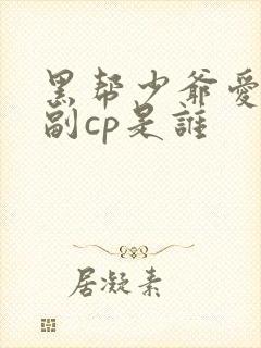 黑帮少爷爱上我副cp是谁