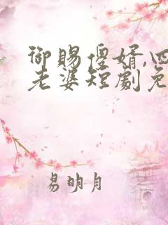 御赐傻婿,四个老婆短剧免费观看