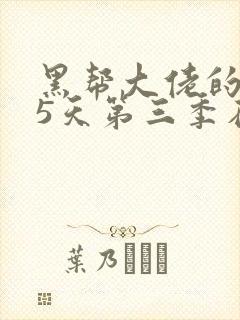 黑帮大佬的365天第三季在线播放