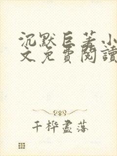 沉默巨著小说全文免费阅读无弹窗