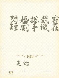 闪婚总裁宠上天短剧手机在线观看