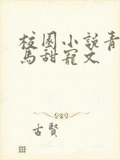 校园小说青梅竹马甜宠文