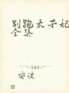 别跑太子妃短剧全集