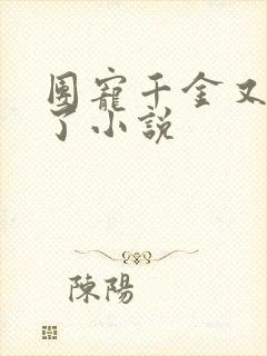 团宠千金又挨揍了小说