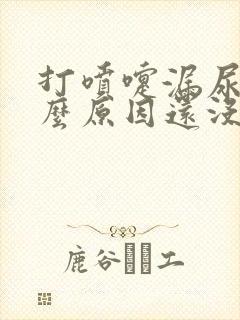 打喷嚏漏尿是什么原因还没生孩子