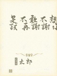 是不敢不想不应该 再谢谢你的爱歌词