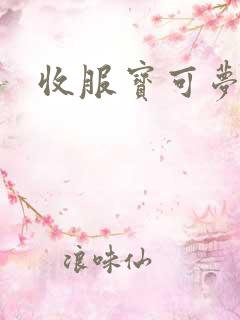 收服宝可梦游戏