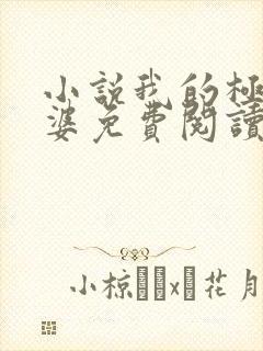 小说我的极品老婆免费阅读全文