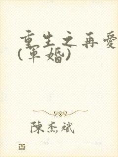 重生之再爱一次(军婚)