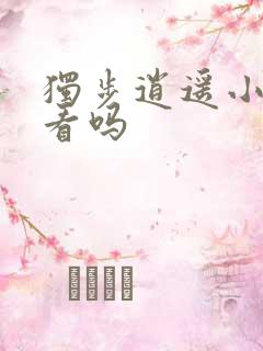 独步逍遥小说好看吗