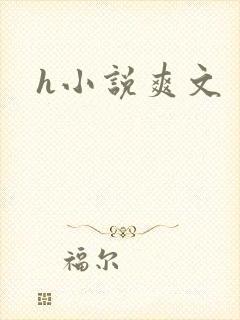 h小说爽文
