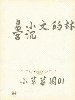 易小文的林知意宫沉