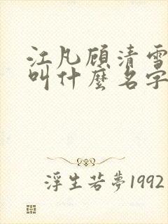 江凡顾清雪小说叫什么名字