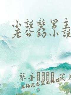 小说双男主虐文老公的小说推荐完结