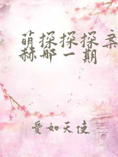 萌探探探案张凌赫哪一期