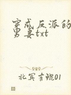 穿成反派的炮灰男妻txt