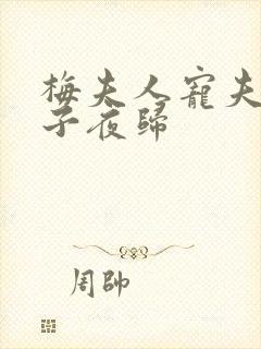 梅夫人宠夫日常子夜归