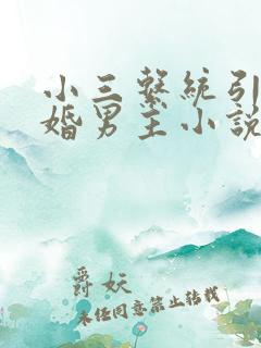 小三系统引诱已婚男主小说