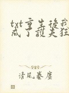 txt重生后我成了护夫狂魔