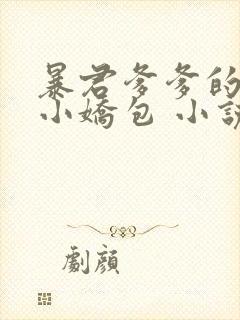 暴君爹爹的团宠小娇包 小说