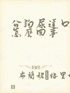 公狗尿道口有血怎么回事