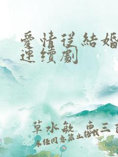 爱情从结婚开始连续剧