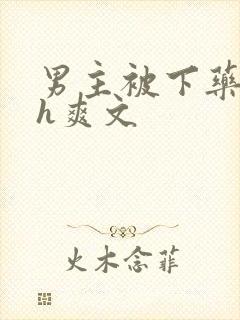 男主被下药后高h爽文