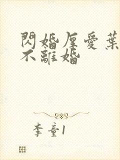 闪婚厚爱叶先生不离婚