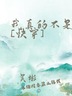 我真的不是渣攻[快穿]