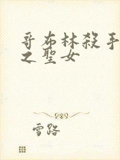 哥布林杀手 剑之圣女