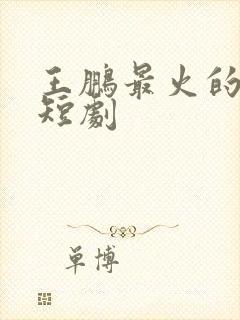 王鹏最火的十部短剧