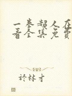 一拳超人在线观看全集免费