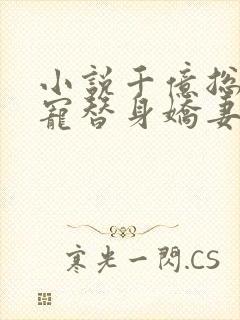 小说千亿总裁独宠替身娇妻