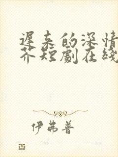 迟来的深情如草芥短剧在线观看