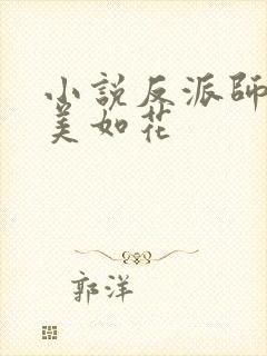 小说反派师尊貌美如花