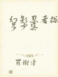 幻影忍者总共有多少集