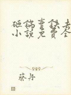 砸锅卖铁去上学小说免费全文阅