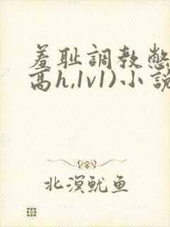 羞耻调教憋尿(高h,1v1)小说