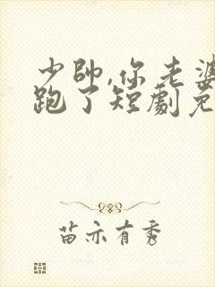 少帅,你老婆又跑了短剧免费看