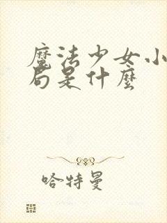 魔法少女小圆结局是什么