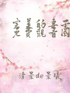 完美的妻子电影免费观看国语版