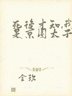 死后才知,我竟是京圈太子白月光75