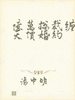 亿万总裁缠上我天价婚约