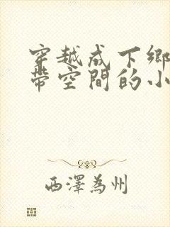 穿越成下乡知青带空间的小说