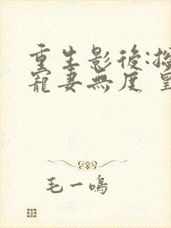 重生影后:总裁宠妻无度 皇图霸业