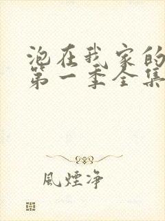 泡在我家的辣妹第一季全集在线观看